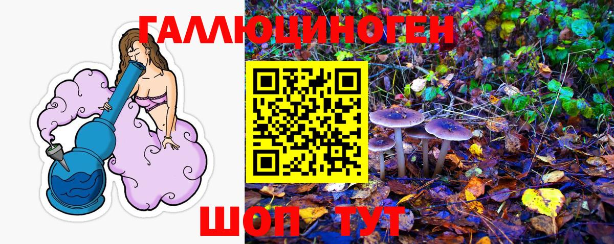 Псилоцибиновые грибы Magic Shrooms Кимовск