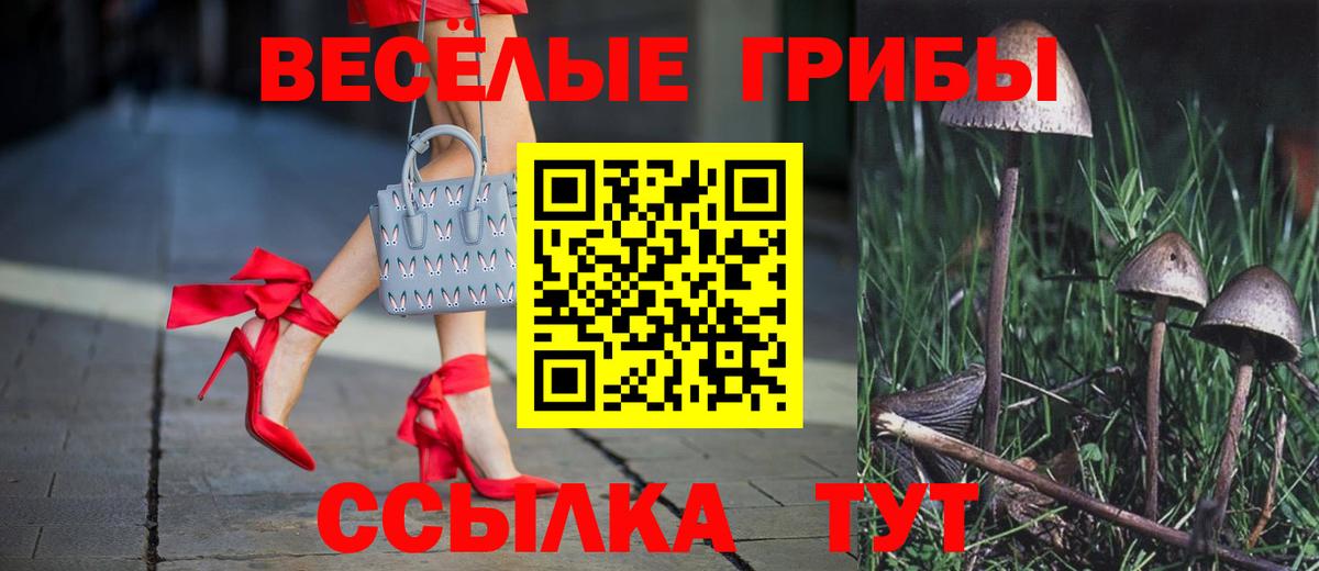 Кимовск  Псилоцибиновые грибы ЛСД  Вход с VPN 